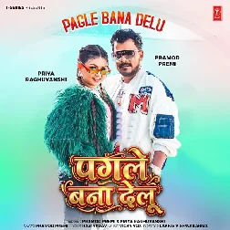 Ae Rani Ho Tu Pagle Bana Delu