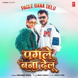 Ae Rani Ho Tu Pagle Bana Delu