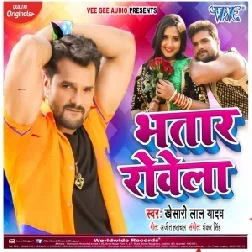 Bhatar RowelaBhojpuri Dj Remix Mp3 Songs