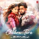 Chehra Tera