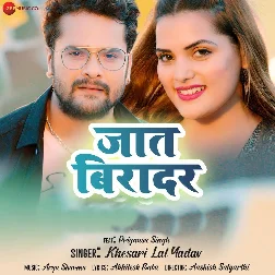 Dil De Da Bichhawatani Chadar Hai Tahare Jaat Biradar Dj Song