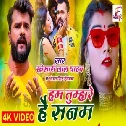 Hum Tumhare Hai Sanam