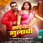 Kahe Pahirelu Sariya Gulabi Ae Bhabhi Nabhi Ke Niche Mp3 Song
