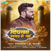 Tohara Chalte E Deewana Badmash Ho JaaiDj Remix Song