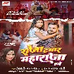 Raja Hamar Maharaja Hawe (Khesari Lal Yadav, Kalpana Patowary) 2024 Mp3 Song